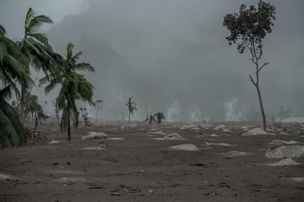Java Adası&#x27;ndaki en büyük dağ, geçtiğimiz cumartesi günü güçlü bir şekilde patladı. Sıcak çamur yağması sonucu bölge tanınmaz hale geldi. - Sputnik Türkiye