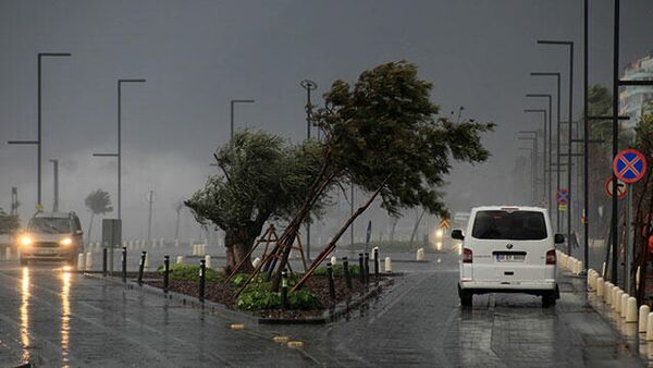 Antalya'da fırtına etkisini artırdı: Dev dalgalar oluştu, ağaçlar devrildi - Sputnik Türkiye