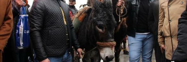 ‘Maske Mesafe Yalanına Son’, ‘Maskeli Köle Olmayacağız’ sloganları atan grup üyeleri açtıkları pankartlarla PCR testini protesto etti. - Sputnik Türkiye