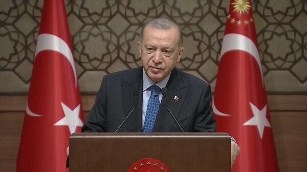 Cumhurbaşkanı Erdoğan, Cumhurbaşkanlığı Kültür ve Sanat Büyük Ödülleri töreninde konuştu - Sputnik Türkiye