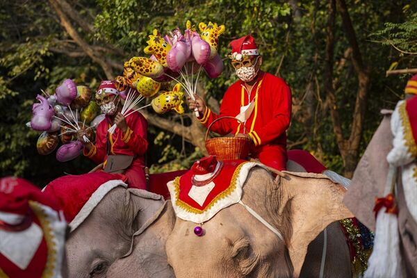 Ayutthaya şehrinde hortumlarına dev maskeler takılan ve yeni yıla özel kıyafetler giydirilen filler ve Noel Baba kıyafetli bakıcıları, çocuklara ve yoldan geçen sürücülere maske verdi. - Sputnik Türkiye