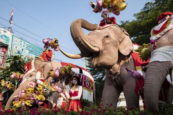 Tayland'da Kovid-19 farkındalığı için yılbaşı kostümlü fillerle maske dağıtıldı - Sputnik Türkiye