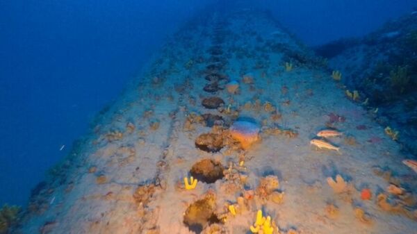 Yunan dalgıçlar, Ege Denizi'nde İkinci Dünya Savaşı'ndan kalma İtalyan denizaltısı enkazı buldu - Sputnik Türkiye