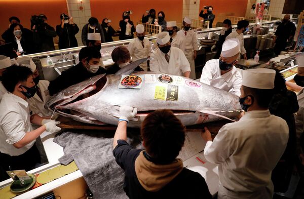 Yerel saatle 05.00&#x27;te başlayan mezatta, Aomori eyaletinin Oma bölgesinden bir balıkçının yakaladığı 211 kilogramlık taze ve donmuş mavi yüzgeçli orkinos balığı 16.8 milyon yene satıldı. - Sputnik Türkiye