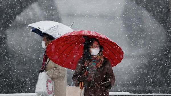 Japonya’da şiddetli kar yağışı: 215 kişi hastanelik oldu - Sputnik Türkiye