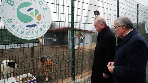 Cumhurbaşkanı Erdoğan, Beykoz hayvan barınağını ziyaret etti
 - Sputnik Türkiye