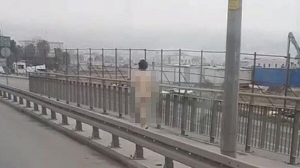 İstanbul Büyükçekmece E-5'te çıplak şekilde koşan bir kişi görüntülendi
 - Sputnik Türkiye