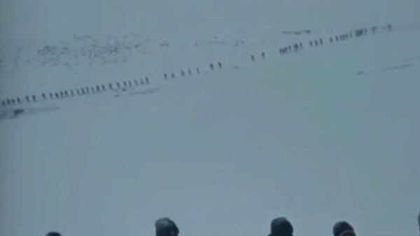Van Valiliği'nden, tek sıra halinde karda yürüyen kaçak göçmenlerle ilgili açıklama - Sputnik Türkiye