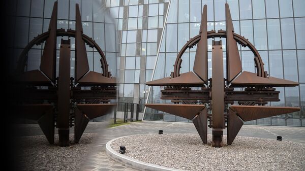 Rusya- NATO - Sputnik Türkiye