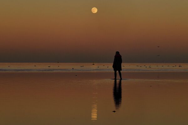 İrlanda&#x27;nın başkenti Dublin&#x27;de deniz kenarında yürüyen bir kadın ayı izliyor - Sputnik Türkiye