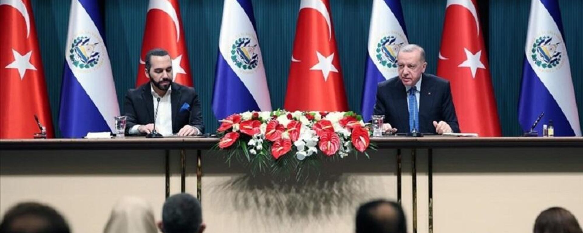 Cumhurbaşkanı Recep Tayyip Erdoğan, El Salvador Cumhurbaşkanı Nayib Bukele - Sputnik Türkiye, 1920, 20.01.2022