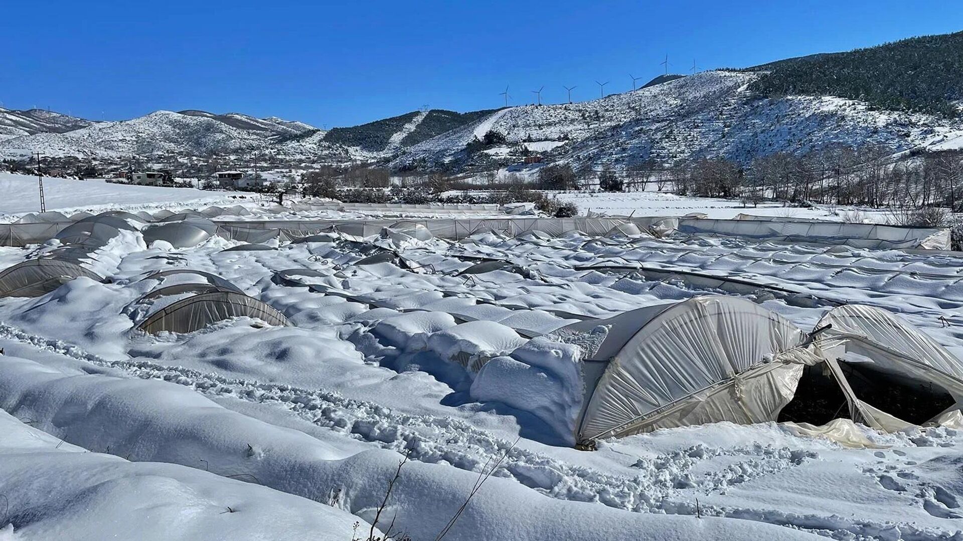 Kürşat Karahanlı, gazetecilere, ilçede yoğun kar yağışı nedeniyle 10.5 dönümlük seralarının çöktüğünü ve bütün ürünlerinin kar ve çöken seranın altında kaldığını söyledi. - Sputnik Türkiye, 1920, 21.01.2022