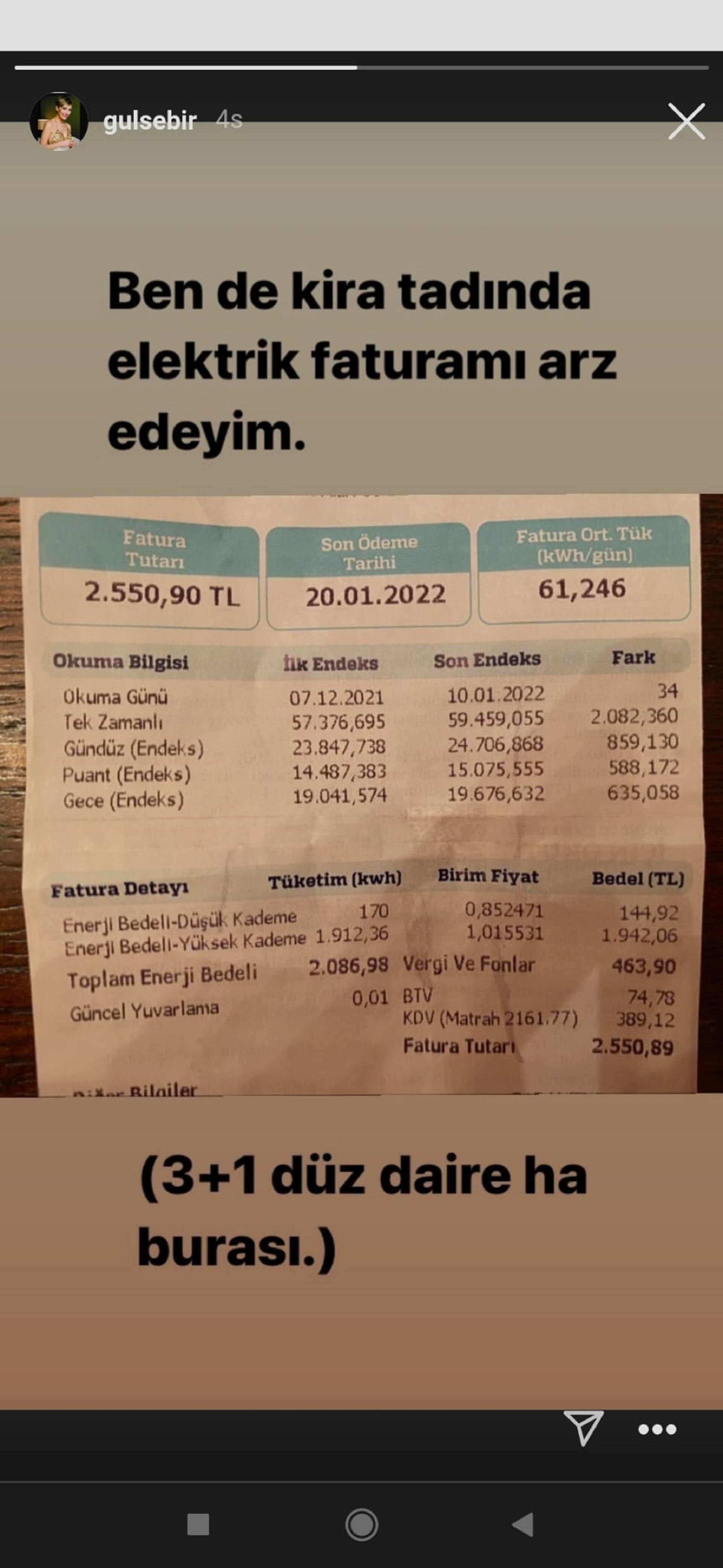 Dizi senaristi ve oyuncu Gülse Birsel Instagram hesabının hikaye bölümünden evine gelen elektrik faturasını paylaştı. - Sputnik Türkiye, 1920, 21.01.2022