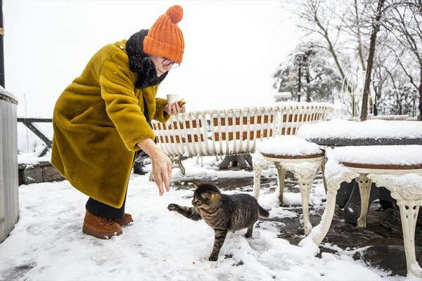 Kar yağışı nedeniyle tepeye gelenler, hayvan dostlarını unutmayarak yemekler verdi. - Sputnik Türkiye