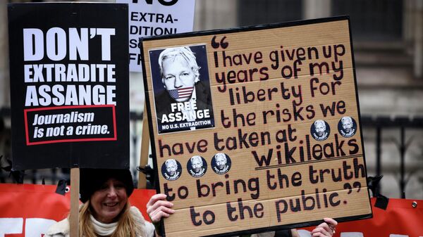 Londra Yüksek Mahkemesi önünde protesto düzenleyen WikiLeaks kurucusu Julian Assange'ın destekçileri - Sputnik Türkiye