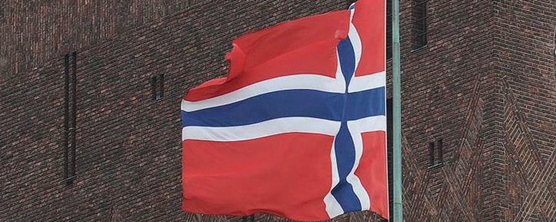Norveç bayrağı - Sputnik Türkiye, 1920, 23.01.2023