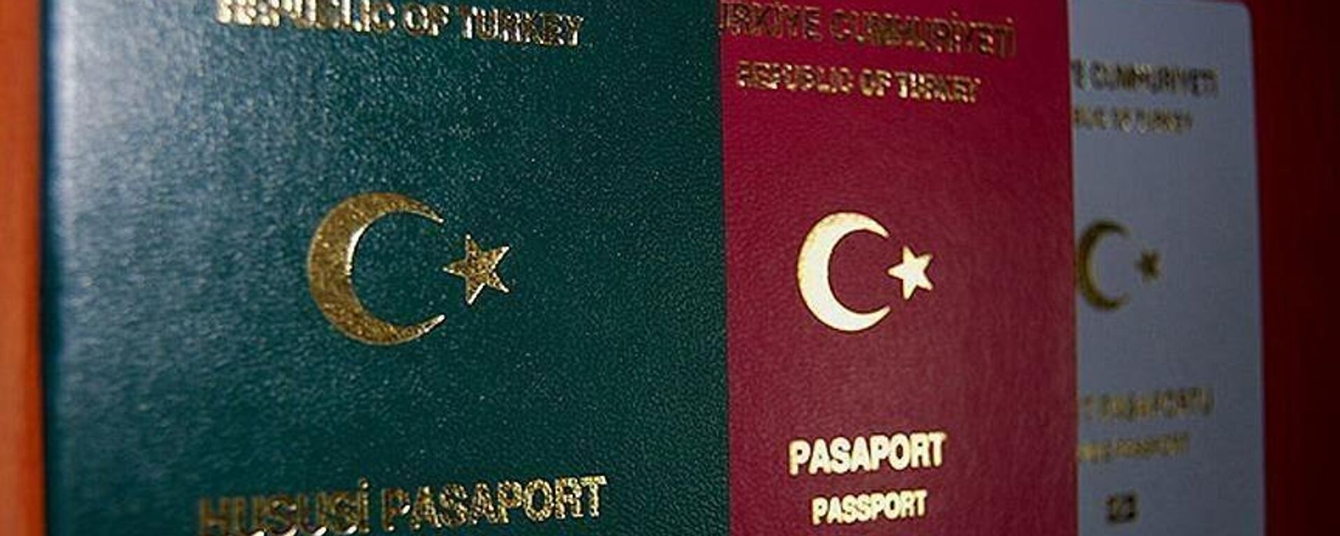 pasaport - Sputnik Türkiye, 1920, 15.03.2024