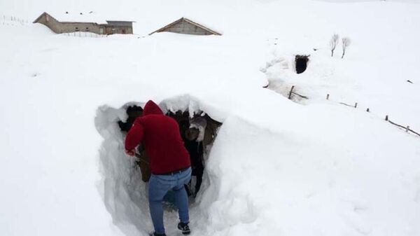Muş’ta bir köy kara gömüldü: Açtıkları tünellerle ulaşımı sağlıyorlar - Sputnik Türkiye