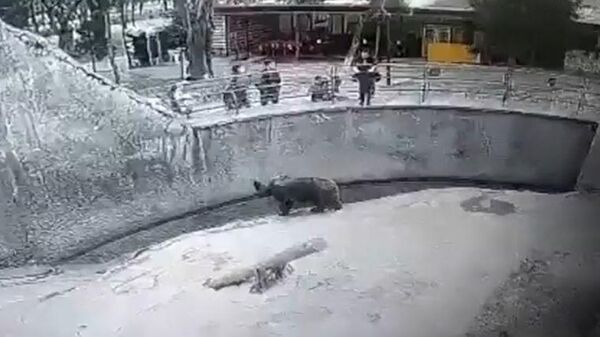 Özbekistan'da hayvanat bahçesi, ayı kafesine çocuğunu atan anne - Sputnik Türkiye