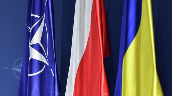 NATO- Polonya- Ukrayna - Sputnik Türkiye