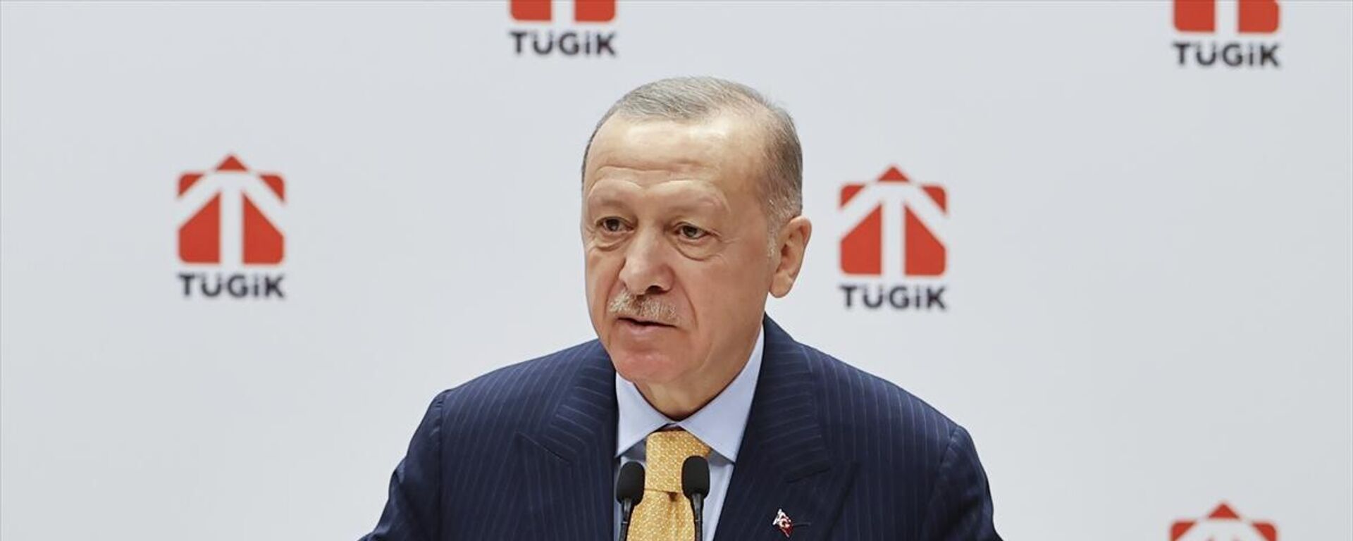 Cumhurbaşkanı Erdoğan, Türkiye Genç İş Adamları Konfederasyonu Genel Kurulu'nda konuştu. - Sputnik Türkiye, 1920, 11.02.2022