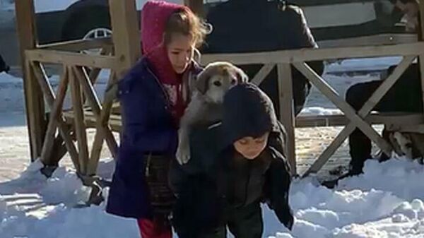 Küçük çocuklar, yavru köpeği sırtına alıp götürmeye çalıştı - Sputnik Türkiye