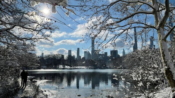 Central Park, kar, kış - Sputnik Türkiye