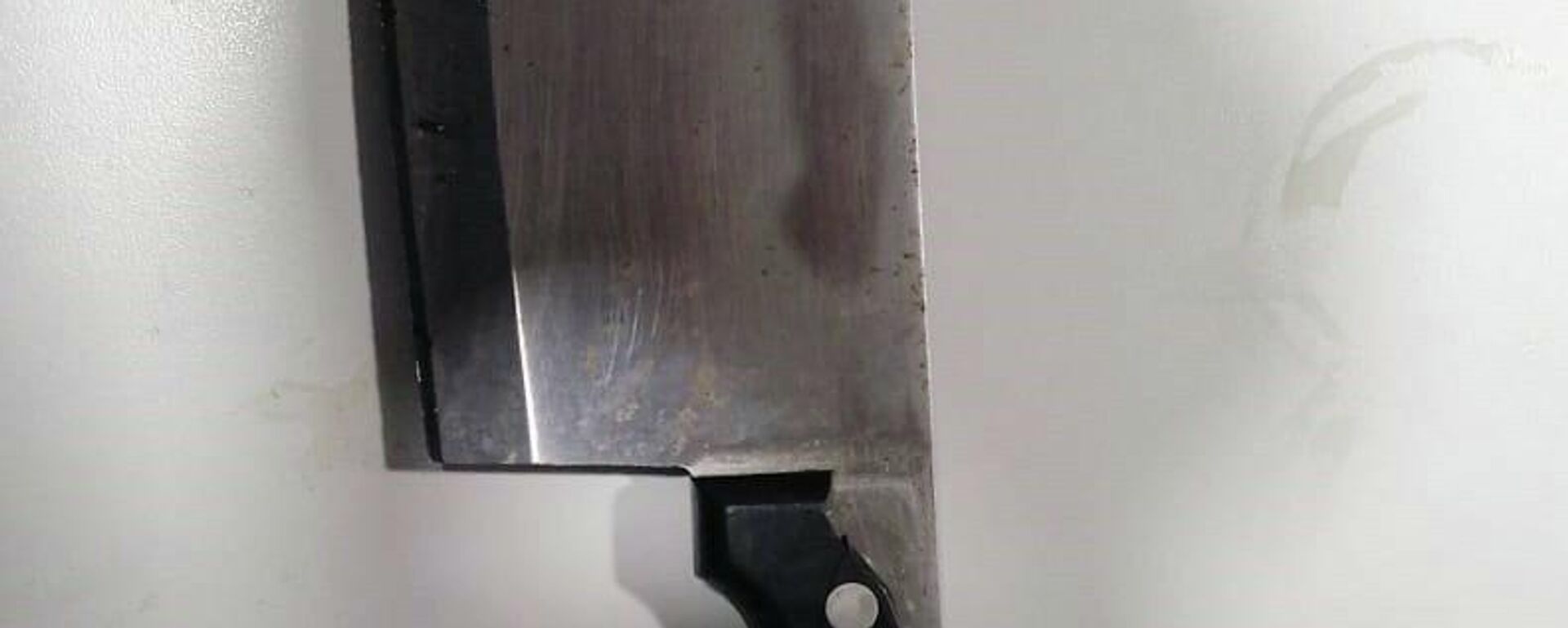 Satır - Sputnik Türkiye, 1920, 14.02.2022