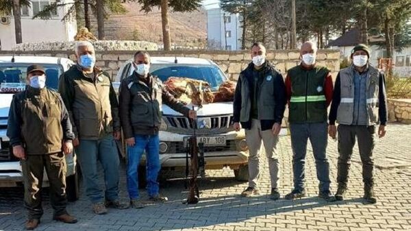 Koruma altındaki yaban keçilerini vuran 2 avcıya 125 bin TL ceza kesildi - Sputnik Türkiye