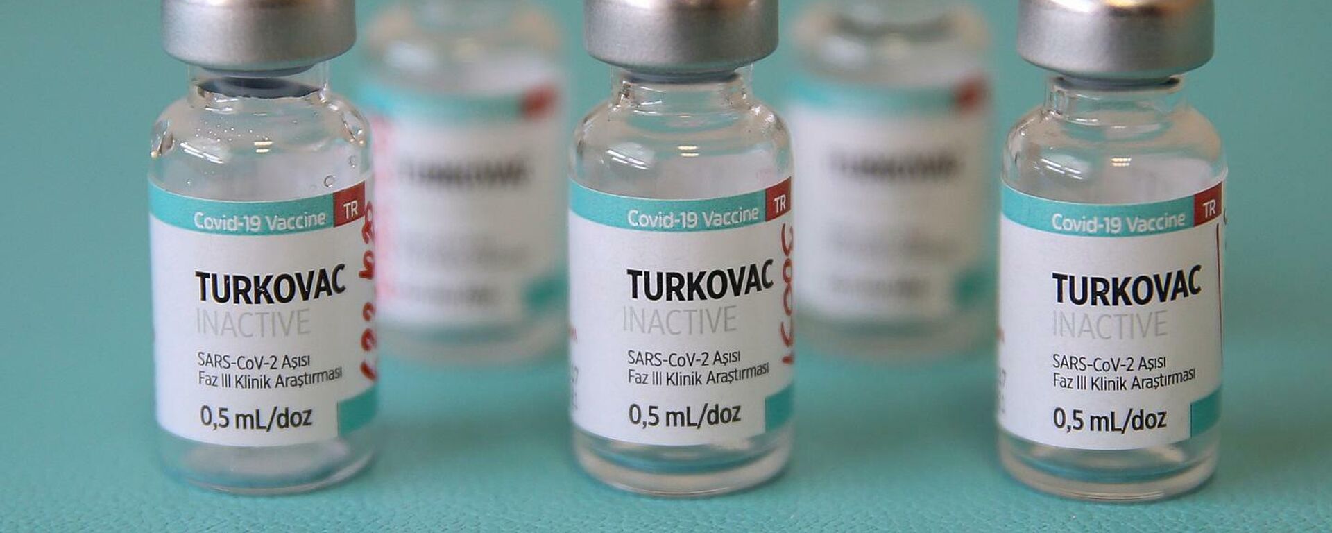 TURKOVAC, yerli aşı - Sputnik Türkiye, 1920, 18.02.2022