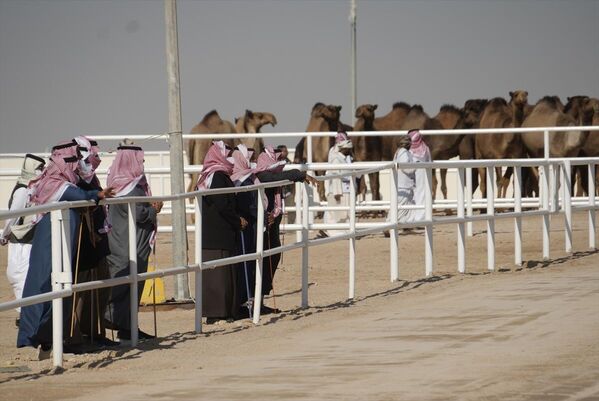 Merri, Katarlı deve sahiplerinin deneyim kazanması için yarışmaların yerli ve yabancı olmak üzere iki ayrı grupta düzenleneceğini dile getirdi. - Sputnik Türkiye