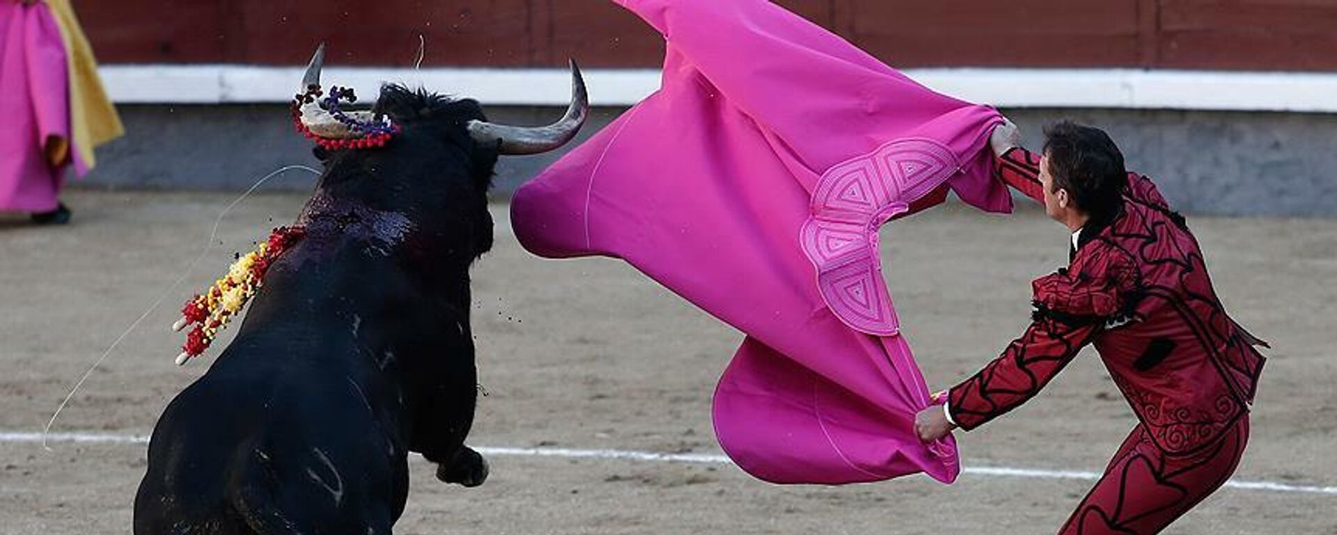 İspanya'da boğa güreşi - Sputnik Türkiye, 1920, 03.05.2024