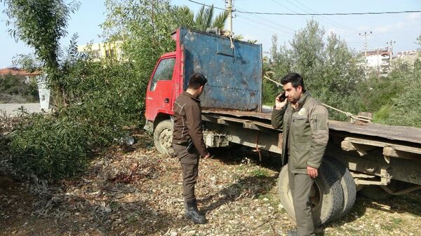 ‘Orman görevlisiyim’ dedi, 50 ağacı keserek götürdü - Sputnik Türkiye