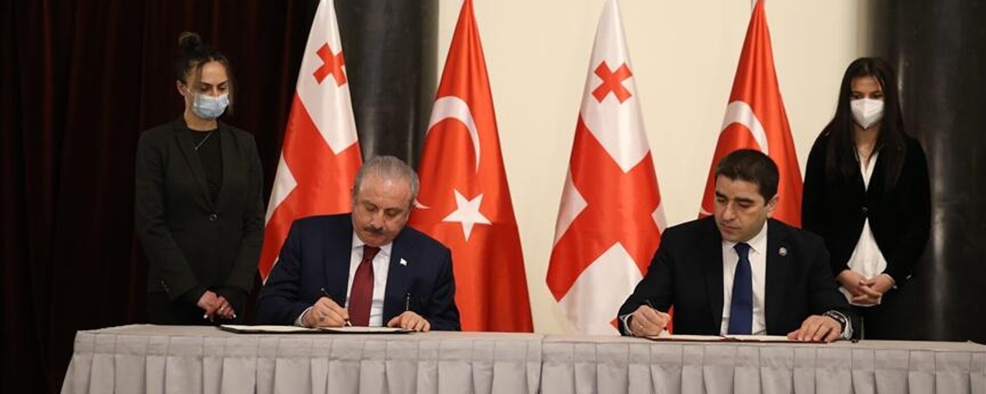 Türkiye ile Gürcistan parlamentoları arasında iş birliği protokolü imzalandı - Sputnik Türkiye, 1920, 21.02.2022