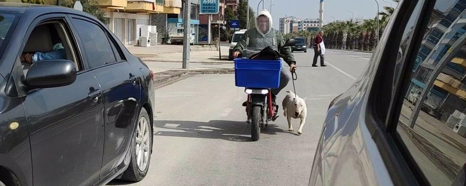 Denizli'de yasak ırk köpeğini elektrikli motosikletine iple bağlayıp sürükleyen sürücü - Sputnik Türkiye, 1920, 01.03.2022
