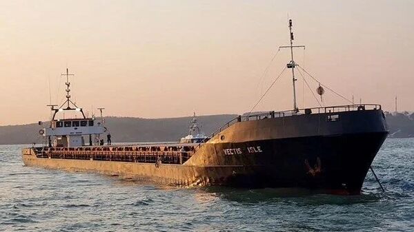 İstanbul Boğazı girişinde gemi kazası - Sputnik Türkiye