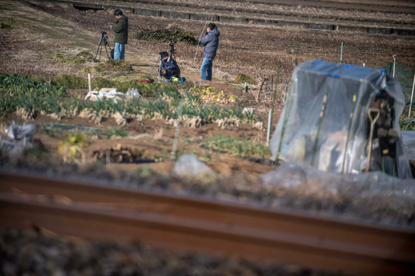 Eskiden Japonya&#x27;nın en iyi tren dergilerinden birinde serbest çalışan bir demiryolu gazetecisi olan Jun Umehara, &quot;Bazı toritetsuların giderek artan boğuk davranışları, mükemmel fotoğraf arayışından kaynaklanıyor olabilir&quot; diye belirtti. - Sputnik Türkiye