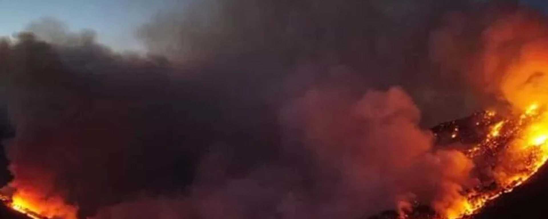 Meksika’da 33 ayrı noktada orman yangını - Sputnik Türkiye, 1920, 25.02.2023