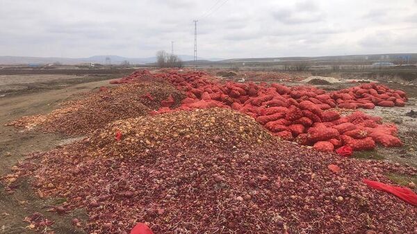 Çorum'da tonlarca soğan yol kenarına döküldü - Sputnik Türkiye