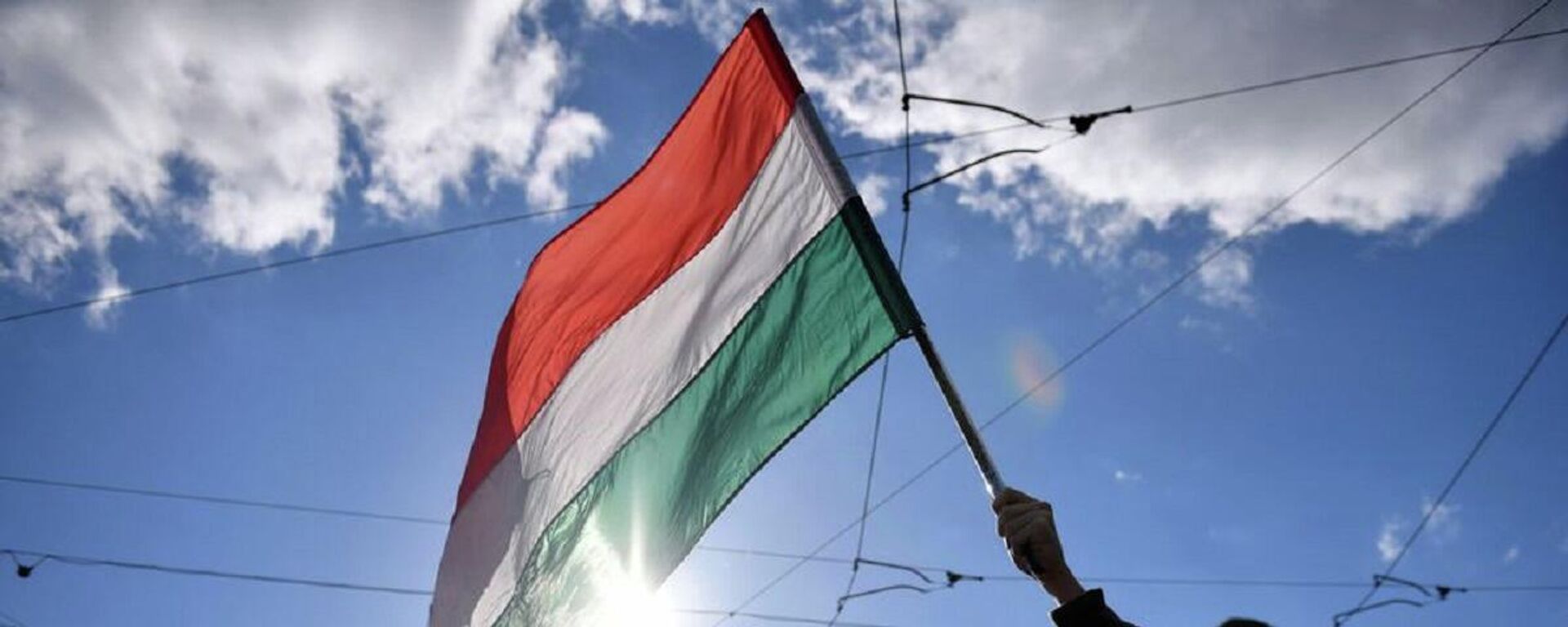 Macaristan bayrağı - Sputnik Türkiye, 1920, 08.02.2024