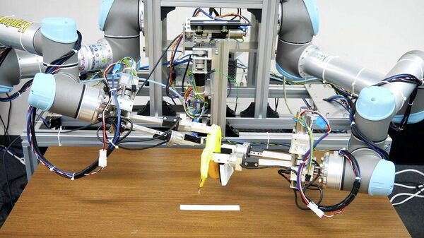 Japonya'da muza zarar vermeden kabuğunu soyabilen robot üretildi  - Sputnik Türkiye