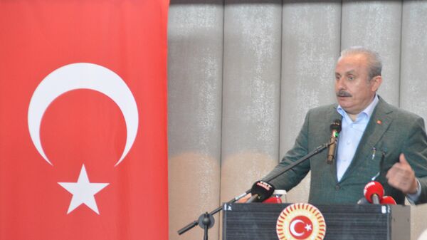 Türkiye Büyük Millet Meclisi Başkanı (TBMM) Mustafa Şentop - Sputnik Türkiye