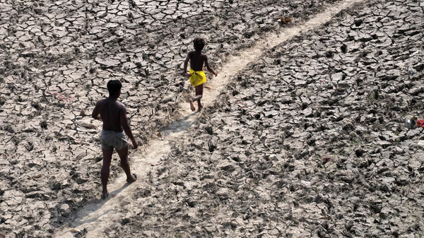 Delhi'nin tek nehri neredeyse tamamen kurudu: Kent sakinleri susuzluk problemiyle karşı karşıya  - Sputnik Türkiye