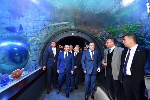 Dünyada tünel içerisinde inşa edilen ilk akvaryum Trabzon’da açıldı - Sputnik Türkiye