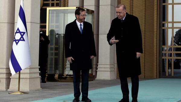 Cumhurbaşkanı Erdoğan ve İsrail Cumhurbaşkanı Herzog - Sputnik Türkiye