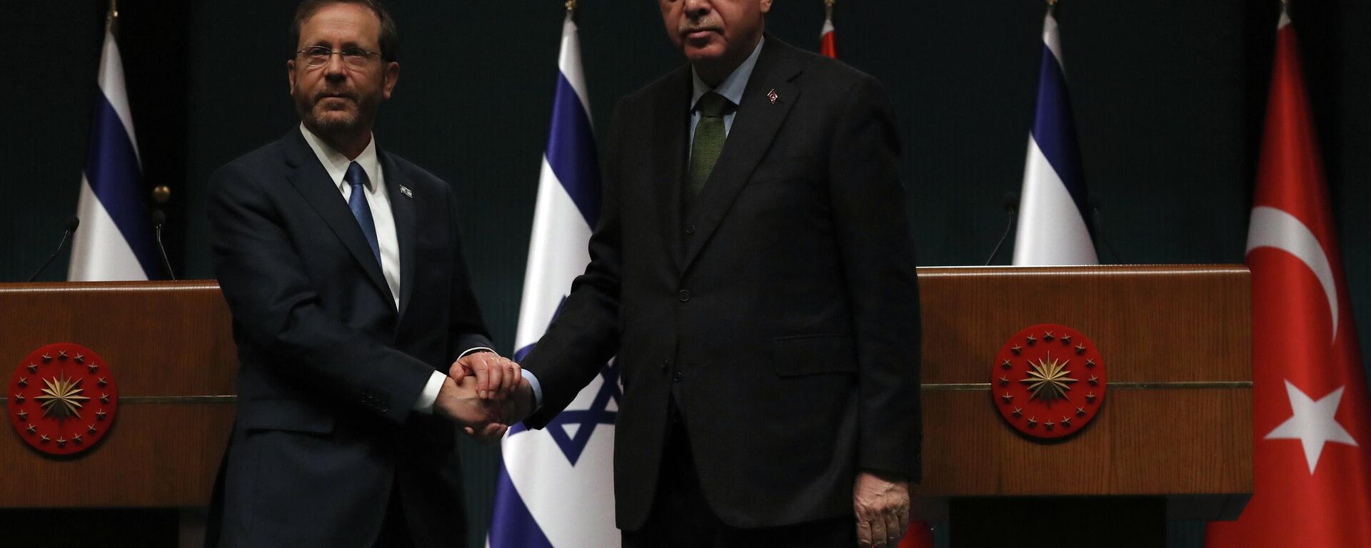 Cumhurbaşkanı Erdoğan ve İsrail Cumhurbaşkanı Herzog - Sputnik Türkiye, 1920, 19.08.2022