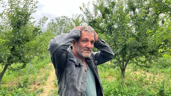 Erik tarlası soyulan çiftçiden hırsıza mesaj: 'İşçilik güzel kendisiyle çay içmek istiyorum' - Sputnik Türkiye