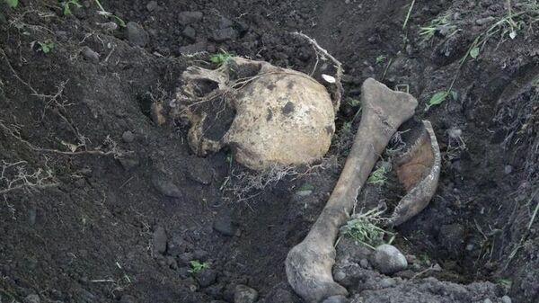 Su için yapılan kazıda, kafatası ve kemik parçaları - Sputnik Türkiye