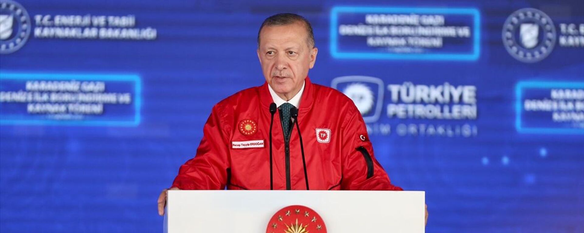 Cumhurbaşkanı Erdoğan - Sputnik Türkiye, 1920, 13.06.2022