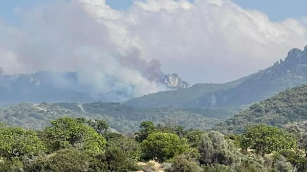 Kuzey Kıbrıs'ta üç farklı bölgede orman yangın çıktı. Türkiye’den gelen 2 helikopter ve 1 uçak yangınlarla mücadeleye destek verdi. - Sputnik Türkiye